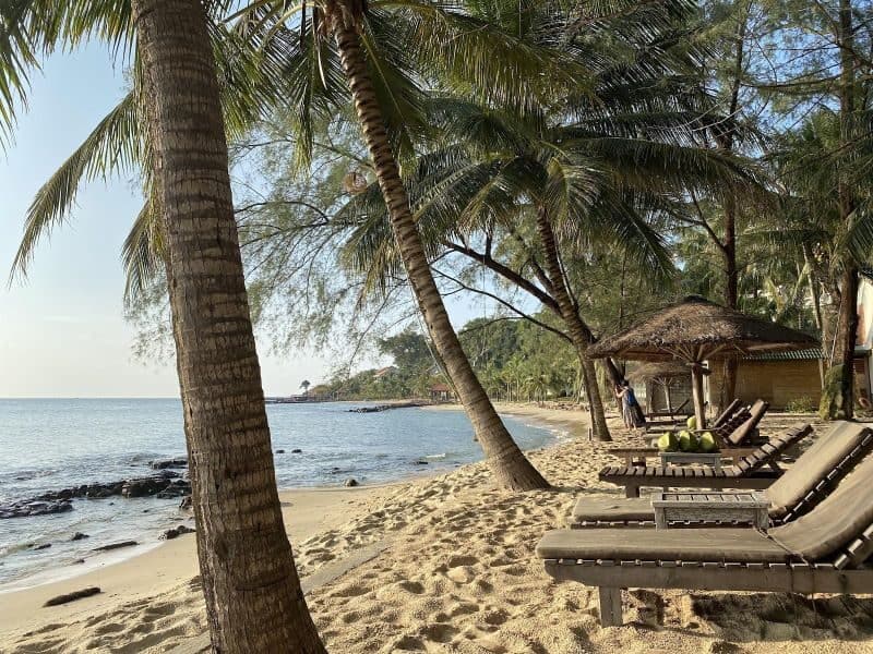 bãi biển, cát, ghế gỗ và phi lao